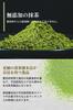 Seisenen Honten Uji Matcha Made In Premium Traditional Matcha Carefully Matcha Powder Powder, Japan, 30g, Quality, Latte, Sweets, Mellow, Flavorful,
