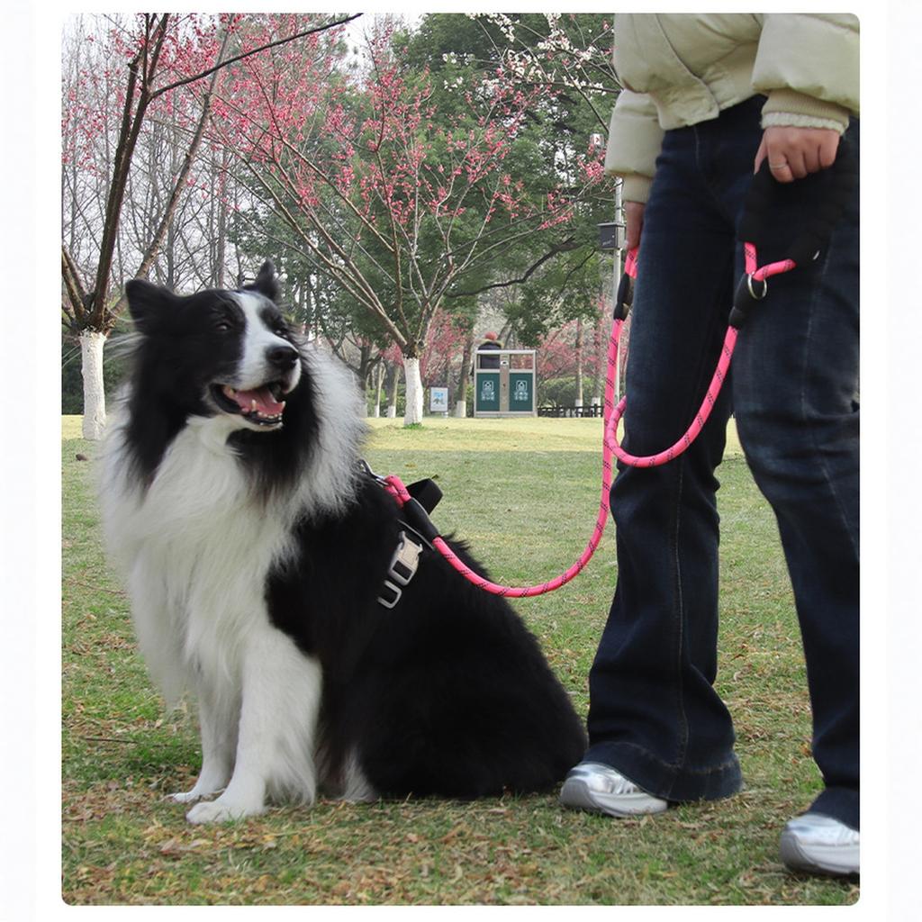 Plutus Haustierseil Hundeleine 1,8 m lang, Verkehrspolsterung Zwei Griffe, Strapazierfähig, Reflektierende Doppelte Griffe für Kontrolle Sicherheitstraining