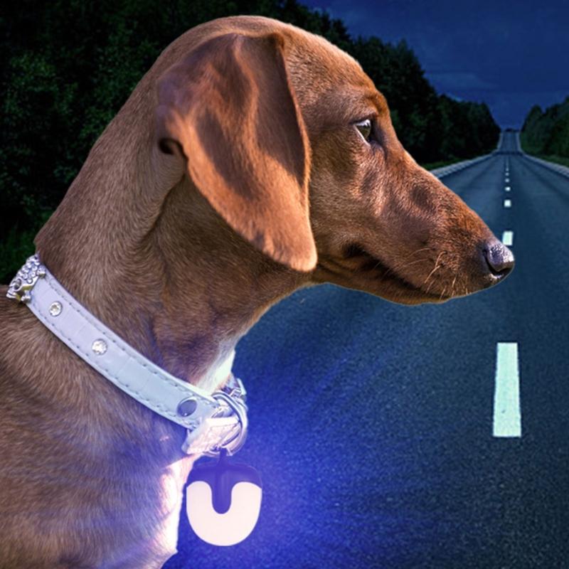 Evening Pet Walk Light Collar with Rechargeable Power, Daily Dog Gear Safety Light for Neighborhood Walk Use and Hanging Carry