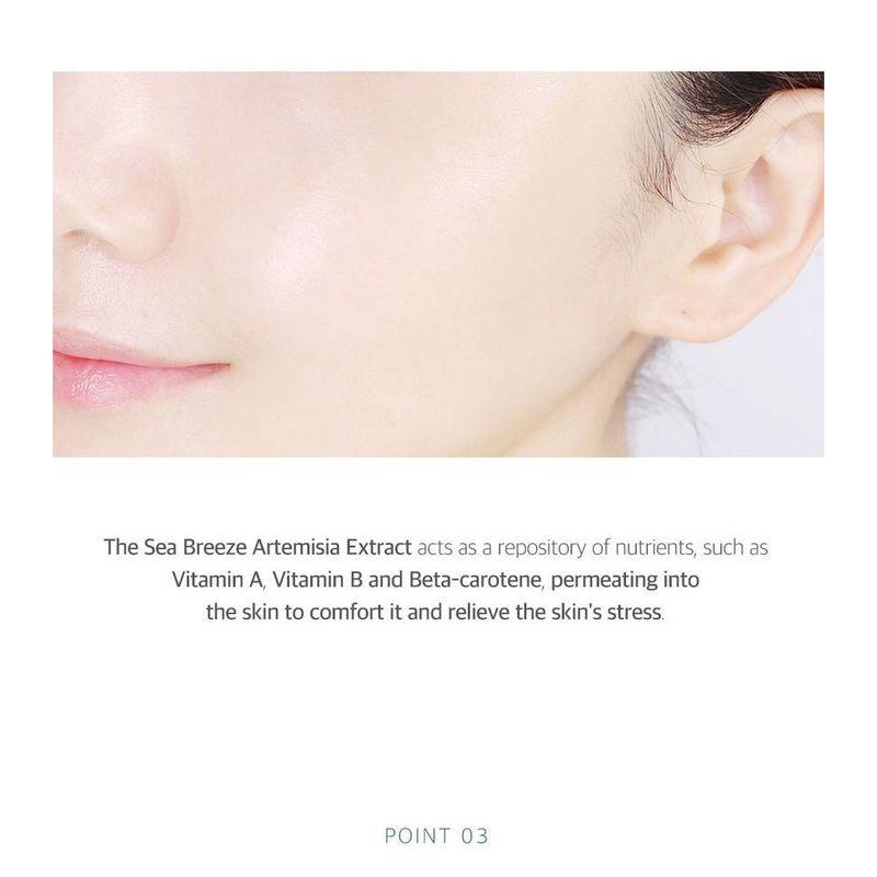 ROUND LAB - Mugwort Calming Mask