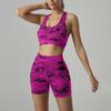 Naadloze Workout Set voor Dames Sportbeha en Hoge Taille Shorts Twee Delige Outfits Rekbare Sportschool Yoga Hardlopen Fitnesspak