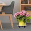 Heavy Duty Flower Pot Wheels Movable Round Plastic Tray Plant Stand Flower Pot Rack  Office