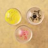 2Pcs Clear Stamper Scraper Mini DIY Nail Art Image Plate Transfer Manicure Tool