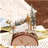 RetroStory Nature Series Eckaufkleber - PET-Landschaft für Journaling & DIY