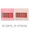 Moisturizing Lipstick Crayon Lipstick Pen Combination Lip Liner Pen Solid Lip Gloss 6-pack Set