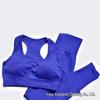 Women's Seamless Butt-Lifting Sports Vest & Yoga Set