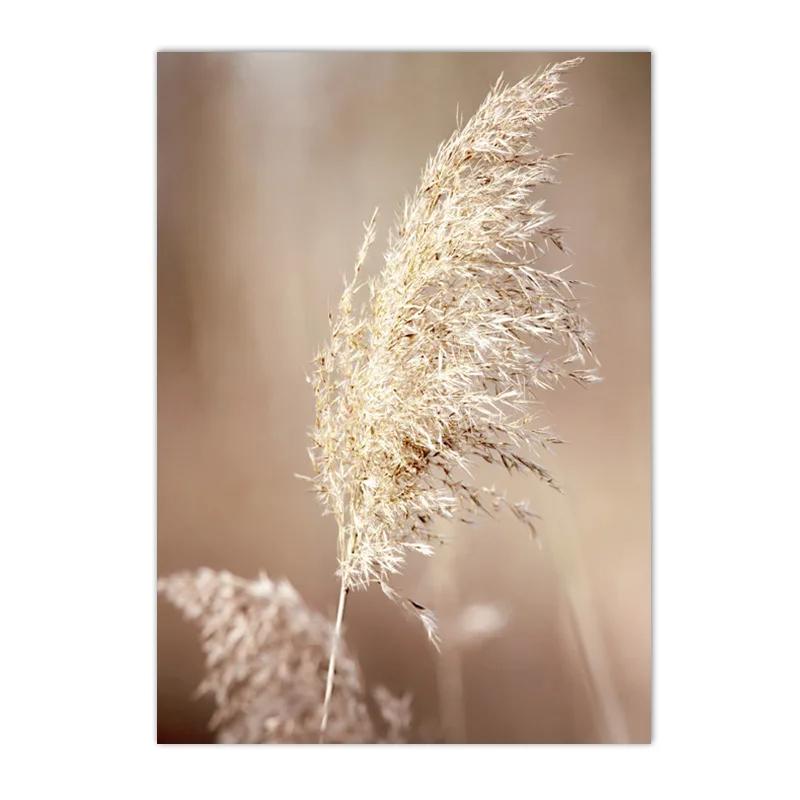 Beige Gras Blume Reed Leinwand Malerei Herbst Landschaft Eichhörnchen Schafe Wand Kunst Drucke Nordic Poster Bild Wohnzimmer Dekor