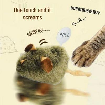 Kedi – Kedi Oyuncakları