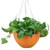 7Pcs Hanging Planters Drainage Metal Chains Plastic Holes And Flower Pots with Hanging Flowerpots