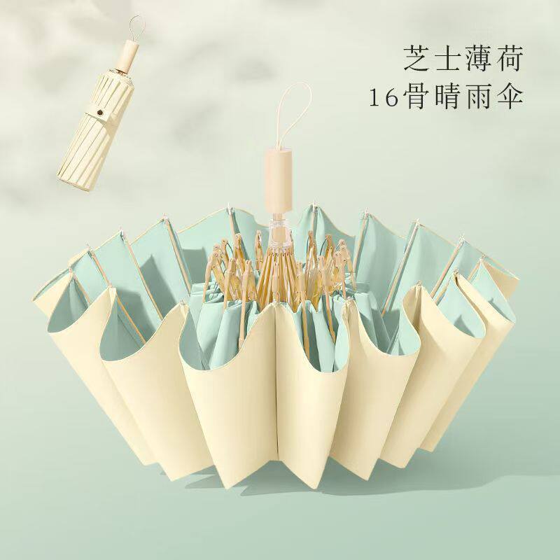 16 Bone Small Fresh Sun Umbrella Milk Tea Color High Value Firm Sunny Umbrella Wind Resistant Folding Umbrella Sun Protection Parasol