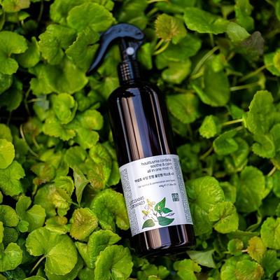 Körperpflege – Körpercremes & Lotionen