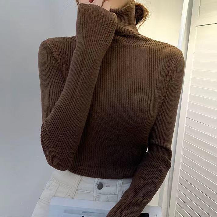 Frauen Herbst Rollkragenpullover Gestrickte Weiche Pullover Kaschmir Pullover Grundlegende Weiche Pullover Für Frauen Herbst Winter