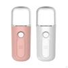 30ml Humidifier, Handy Sprayer, Refreshing, Face Hydrating Nano Facial Mister Portable Steamer