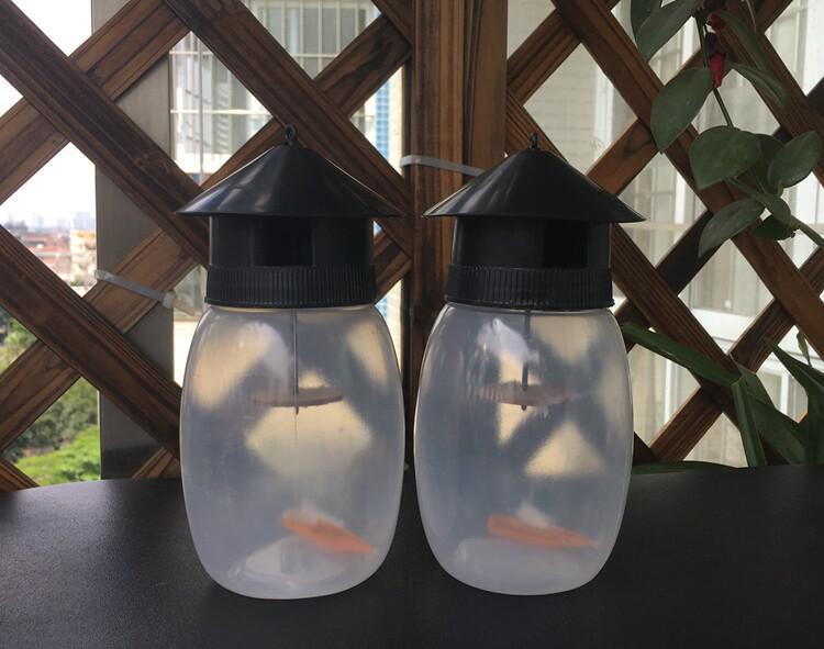 Fruit Fly Trap with Lure Solution - Specialized Insect Killer, Effective Against Flying Pests, Free Nationwide Shipping