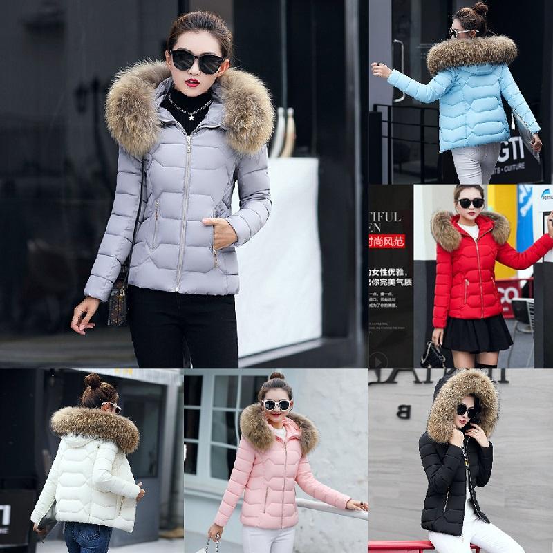 Womens Short Slim Quilted Winter Coat With Fur Hooded Collar And Stylish Design