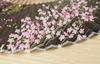 Matsumi Koge Folding Rabbit and Cherry Blossom Asahi-o Fan (Black)
