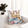 Easter Day Bunny Easter Eggs Pillow Cover Cushion Cover Graphic Pillow Case Cute Funny Pillowcases For Sofa Car Home Decor