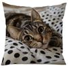 Vibrant Bohemian Style Short Plush Pillow Cover 45x45cm Charming Kitten Living Room Bedroom Decor (Pillow Insert Not Included)