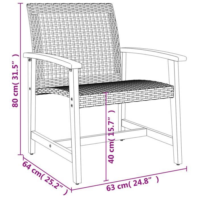 VidaXL Lot de 2 Chaises de Jardin, Sièges avec Accoudoirs, Fauteuils avec Dossier, Meuble de Terrasse, Noir Résine Tressée 367595