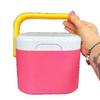 Insulated Portable Cooler With Handle Mini Freezer Fridge Heat Preservation Food Storage Cooler Box For Beach Picnic