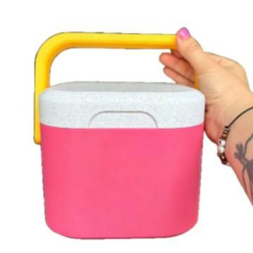 Insulated Portable Cooler With Handle Mini Freezer Fridge Heat Preservation Food Storage Cooler Box For Beach Picnic