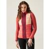 Leedre Hybrid Vest