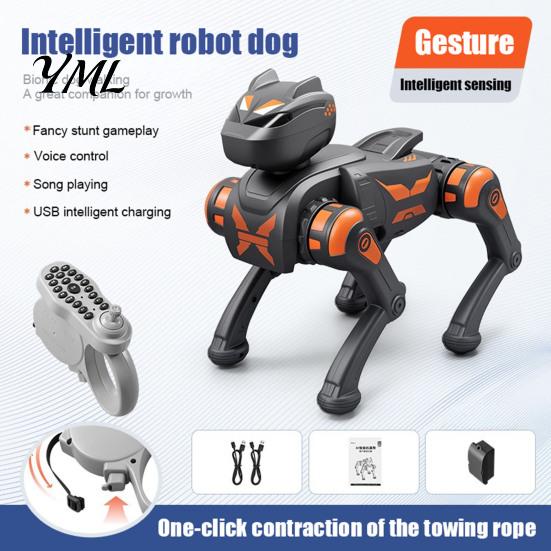 Educational Robot Dog Remote Control Toy, Voice Programmable Smart Electric Interactive STEM Toy RC Mechanical Puppy for Toddlers Boys Girls Robotic
