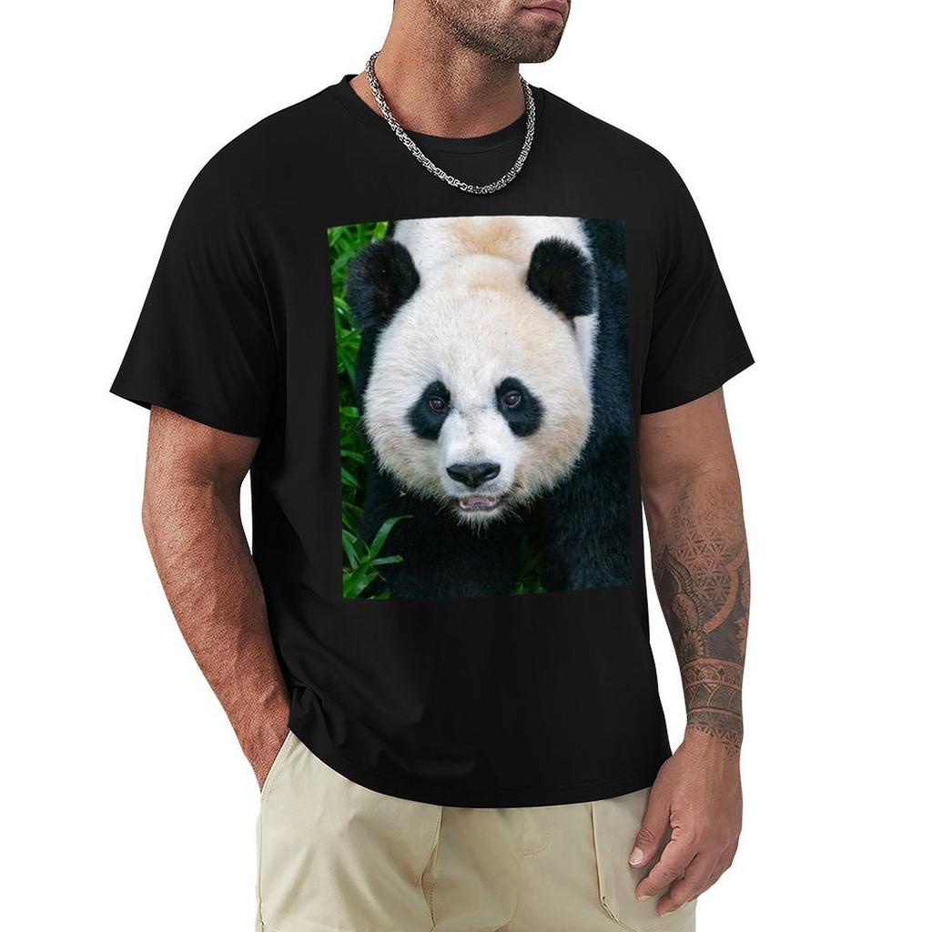 Giant Panda Mei Xiang At The Smithsonians National Zoo Tshirt Soft Lightweight Cotton Tshirt
