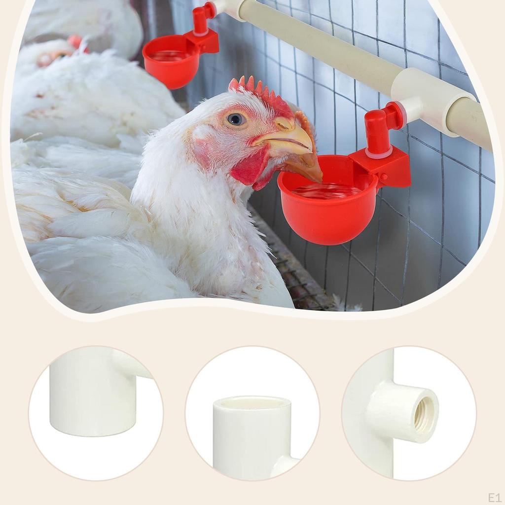 12Pcs Chicken Waterer Tee Fittings Easy to Install, Spare Parts, Durability 1/2" Accessories for