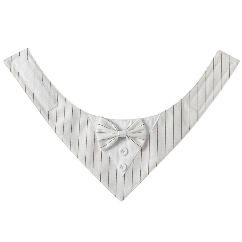 Collari a Papillon Regolabili Carini per Gatti Matrimonio Collare Tuta per Gatti con Grande Fiocco Papillon Elegante per Toelettatura Animali