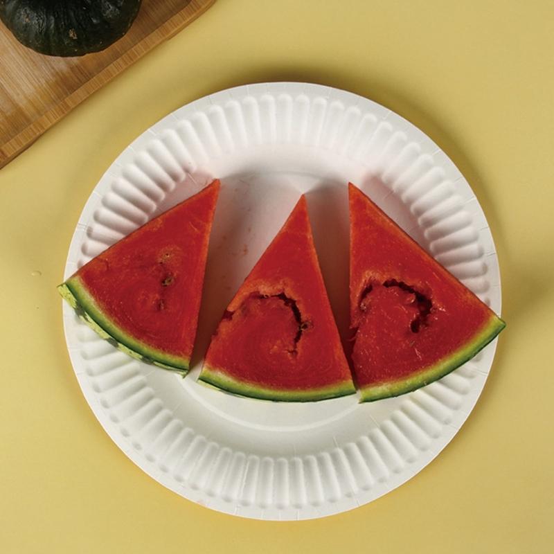 10pcs Large Disposable Paper Plates for Family Meals Biodegradable Dinnerware Degradable Tableware Kitchen Accessories