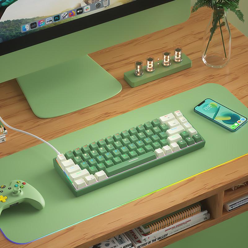 

BOW G68S Hot-Swappable Mechanical Gaming Keyboard, Wired & Anti-Ghosting with Key-Cable Separation.
