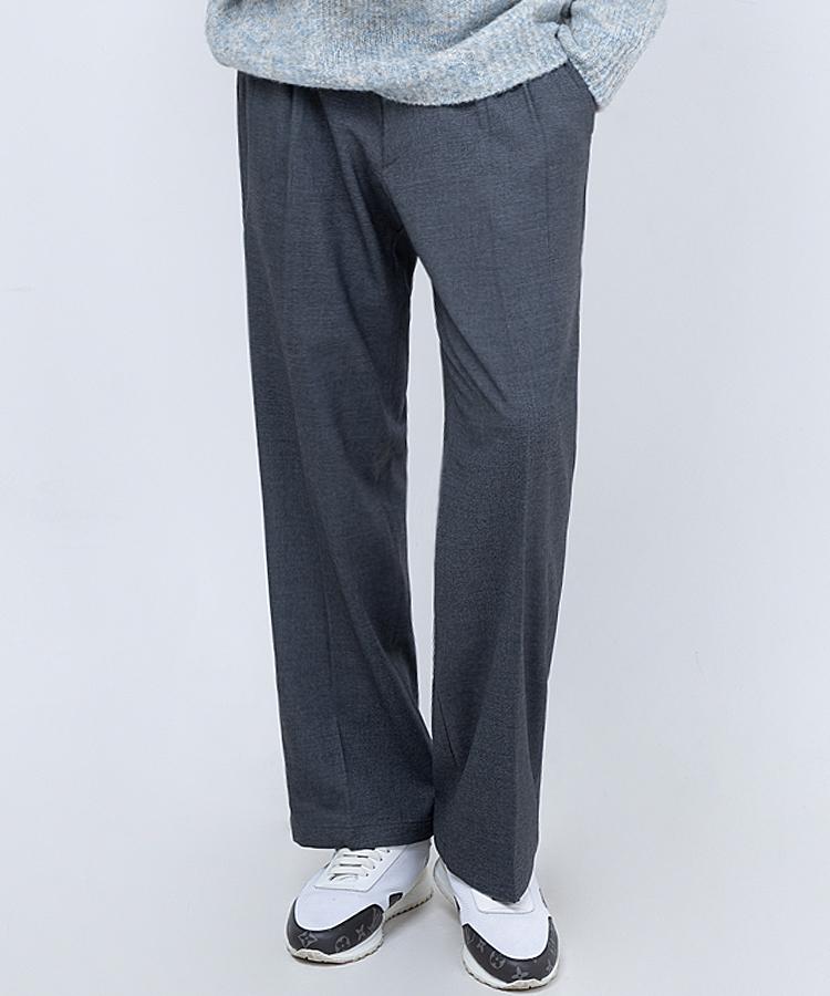 Seuteulaikeu Elegant Double-Pleated Wide Trousers (Dark Grey)