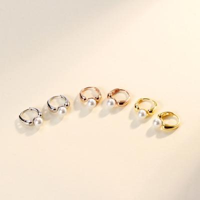Retro High-end Pearl Earrings New Korean Trendy Temperament Light Luxury Ear Buckle Design Sense Niche Earrings