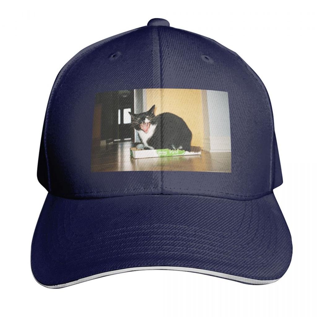 Angry cat Baseball Cap Low Profile Unstructured Unisex for Men Women Outdoor Golf Running Hiking