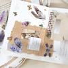 3 Piece Feather Journal Stickers PET Art Journal Embellishment Scrapbooking DIY Art Craft