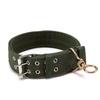 Double Row Dog Collar & Leash Set for Medium To Large Dogs