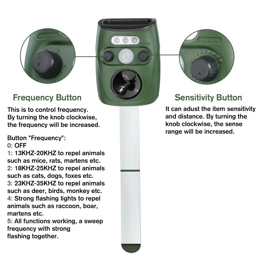 motion detector dog deterrent