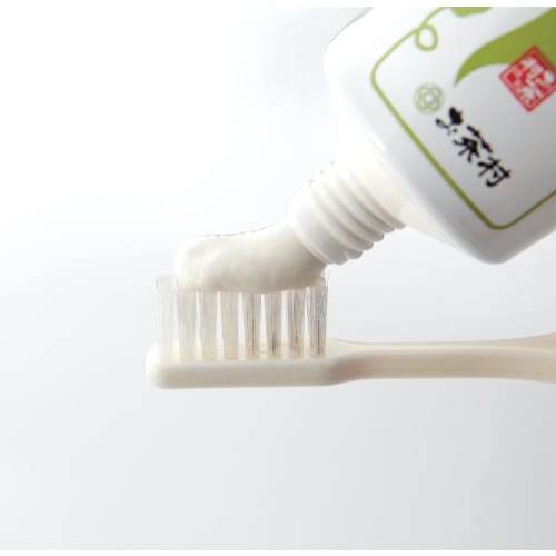 Ochamura Natamame Salt Toothpaste Plus, 100g, for Bad Breath, Gum Care, and Lactoferrin Toothpaste