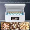 Weida Fully Automatic Small Incubator for Chicken, Duck, Goose, Pigeon, and Peacock Eggs