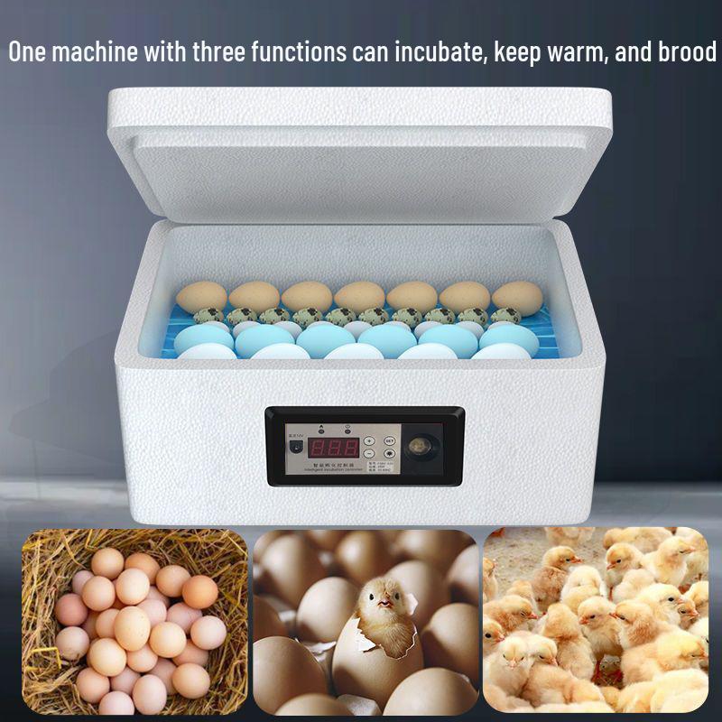 Weida Fully Automatic Small Incubator for Chicken, Duck, Goose, Pigeon, and Peacock Eggs
