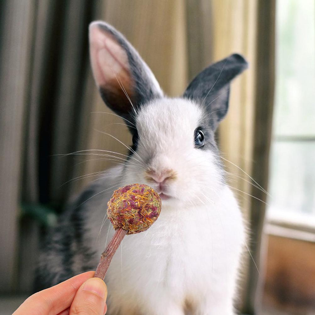 12 Pcs Lollipop Pet Rabbit Snacks Guinea Pig Toys Hamster Chewing Sticks Plant Bunny Molar Animals Biting Playthings