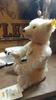 [USED] Steiff Classic Teddy Bear