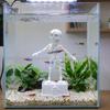 with Pipe Suction Cup Dancing Skeleton Aquarium Bubbler  Aquatic Landscaping
