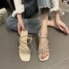 Sandals women 2025 new summer wear versatile thick heel Internet celebrity fairy style fashion high heels women slippers women