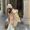 Parkas Women Winter Down Cotton Jacket Coat Ladies Hooded Outwear Parka Thick Cotton Padded Female Overcoat