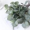 Artificial Eucalyptu Leaves Stems Eucalipto Branch Carrying Fruit Floral Bouquets Wedding Holiday Greenery Home Room Table Decor
