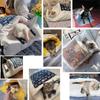 Japanisches Katzenbett Warme Schlafsäcke Tiefschlafhöhlen Winter Abnehmbares Haustier Katzenhaus Bett für Katzen Hunde Nest Kissen mit Kissen