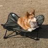 ShineTrip Yükseltilmiş Köpek Kedi Yatağı Kamp Katlanır Pet Karyolası Alüminyum Alaşımlı Taşıma Çantası ile Kapalı Alanda