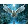 Fantastic Puzzle - EDUCA - 500 Pieces - For Children Aged 10 and Over